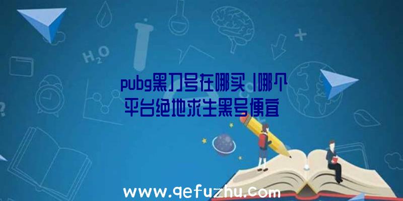 「pubg黑刀号在哪买」|哪个平台绝地求生黑号便宜